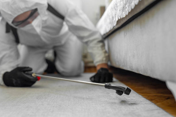 Professional Termite Control technician working in Littlestown, PA